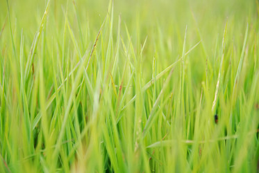 Similar image 1232182