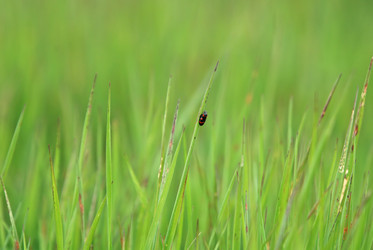 Similar image 1232199