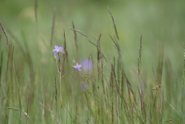 Similar image 1232204