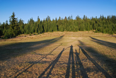 Similar image 1232241