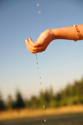 Similar image 1232248