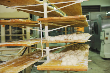 Similar image 1232262