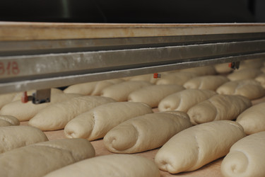 Similar image 1232318