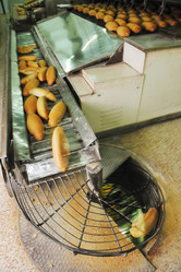 Similar image 1232346