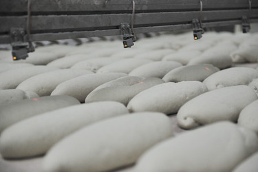 Similar image 1232372