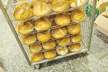 Similar image 1232393