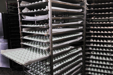 Similar image 1232397