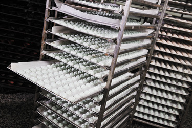 Similar image 1232398