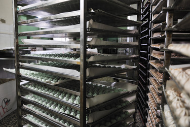 Similar image 1232400