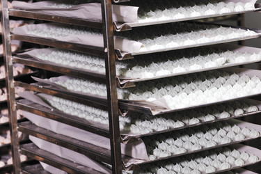 Similar image 1232415