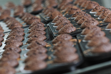 Similar image 1232428