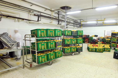 Similar image 1232439