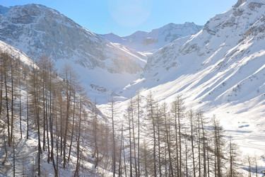 Similar image 1232456