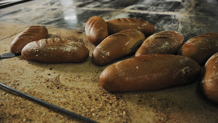 Similar image 1232552