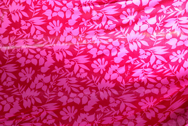 Similar image 1232709