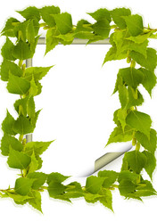 Similar image 1232753