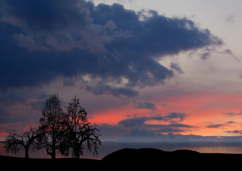 Similar image 1232754