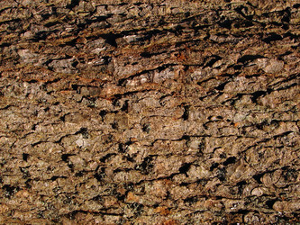 Similar image 1232781