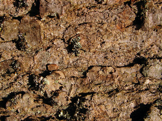 Similar image 1232783