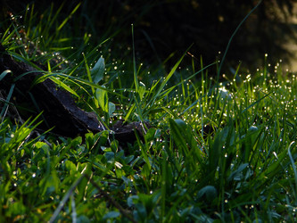 Similar image 1232784