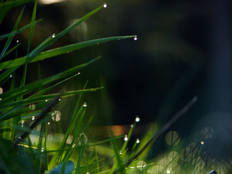 Similar image 1232785