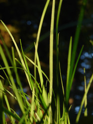 Similar image 1232786