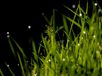 Similar image 1232788