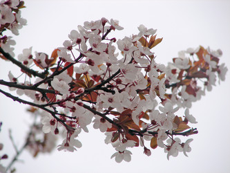 Similar image 1232818