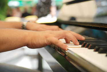 Similar image 1232859