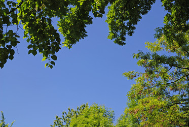 Similar image 1232876