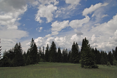 Similar image 1232879