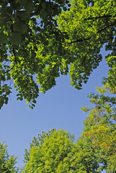 Similar image 1232884