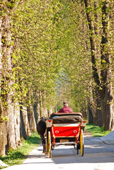 Similar image 1232918