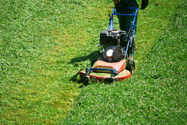 Similar image 1233020