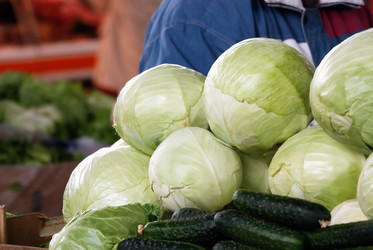 Similar image 1233035