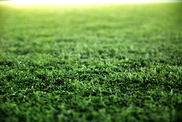 Similar image 1233160