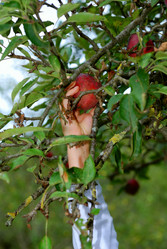 Similar image 1233161