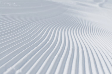 Similar image 1233234