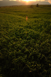 Similar image 1233267