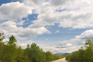 Similar image 1233279