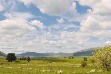 Similar image 1233281