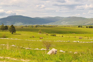 Similar image 1233282