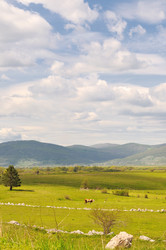 Similar image 1233283