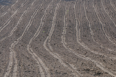 Similar image 1233284