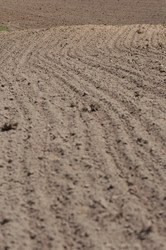 Similar image 1233291