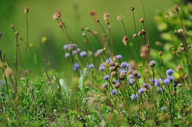 Similar image 1233293