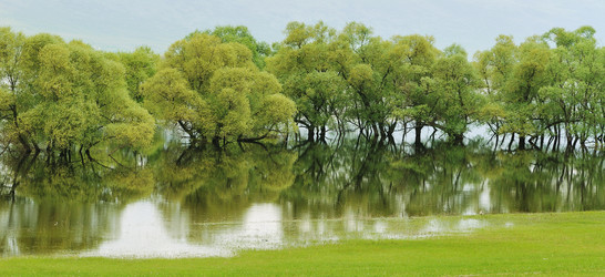 Similar image 1233306