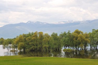 Similar image 1233307