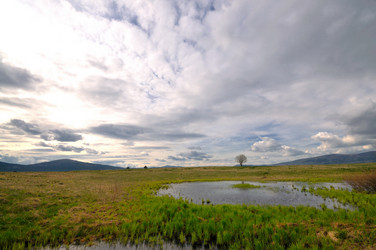 Similar image 1233309