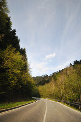 Similar image 1233310